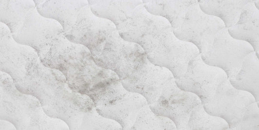 Mouldy Mattress? Here's How You Can Get Rid of the Problem - Somnuz Mattress