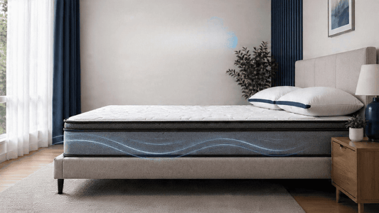 dust mite free mattress