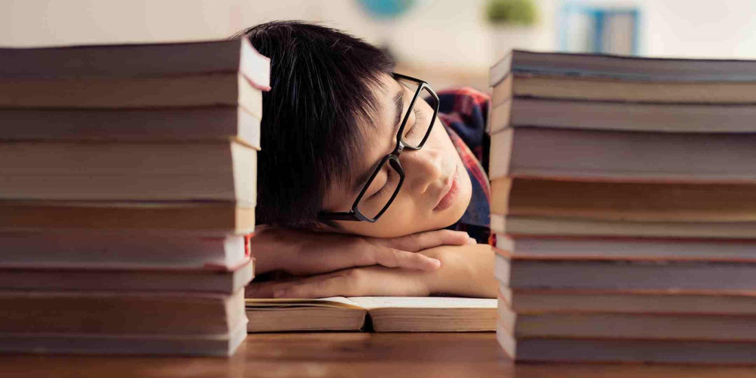 Essential Sleep Tips for Students - Somnuz Mattress