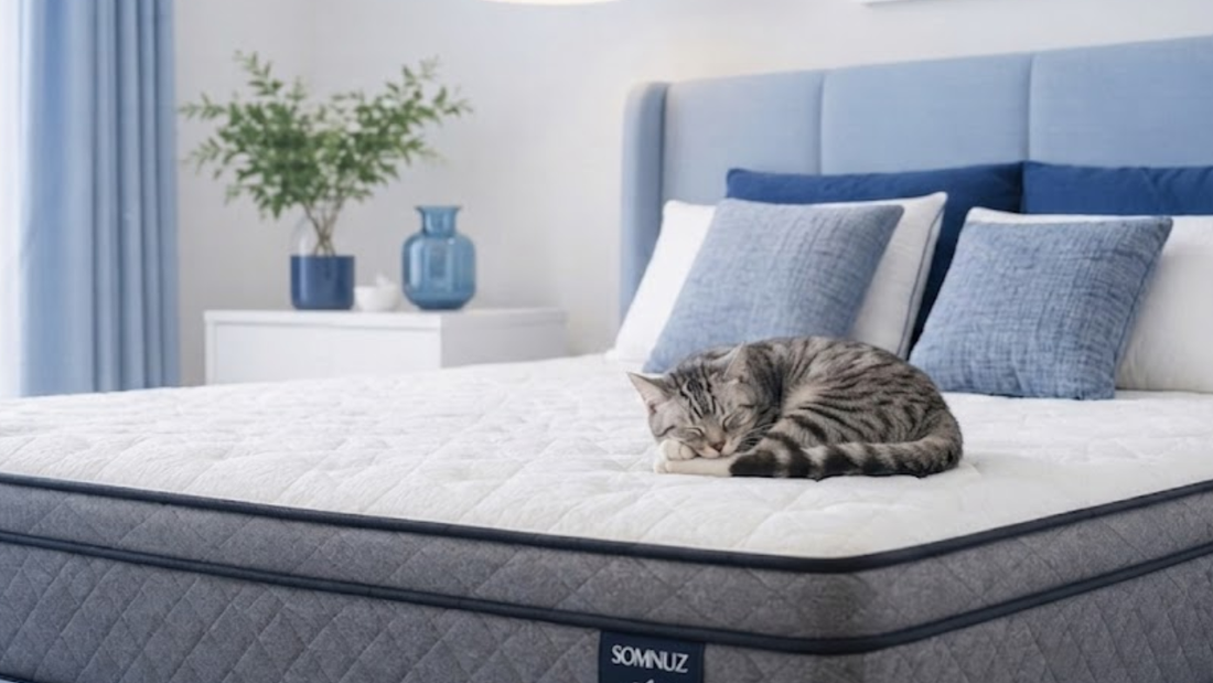 how to remove cat pee from mattress