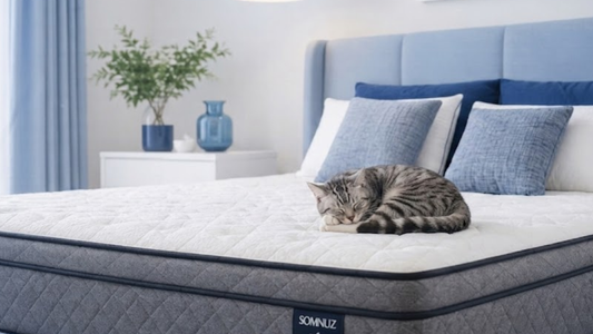 how to remove cat pee from mattress