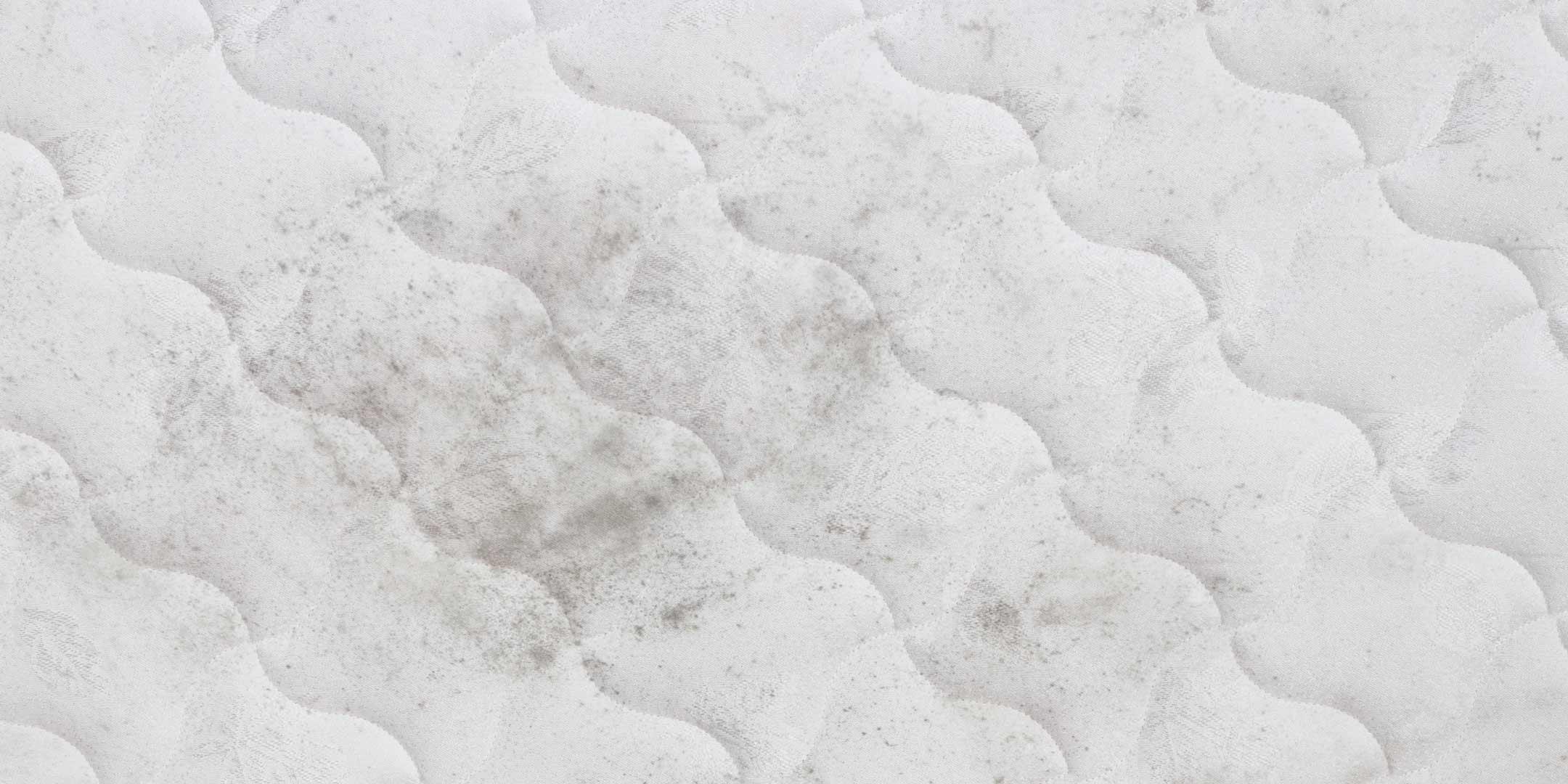 Step-by-Step Guide to Removing Mould from Your Mattress – Somnuz Mattress