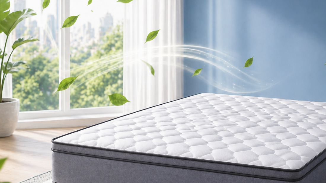 organic latex mattress