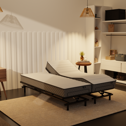 Somnuz® Restro Adjustable Genuine Leather Bed + Somnuz® Aire Mattress