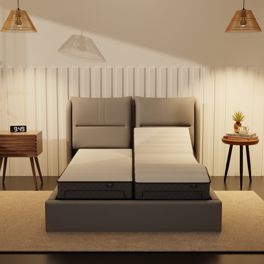 Somnuz® Restro Adjustable Genuine Leather Bed + Somnuz® Aire Mattress