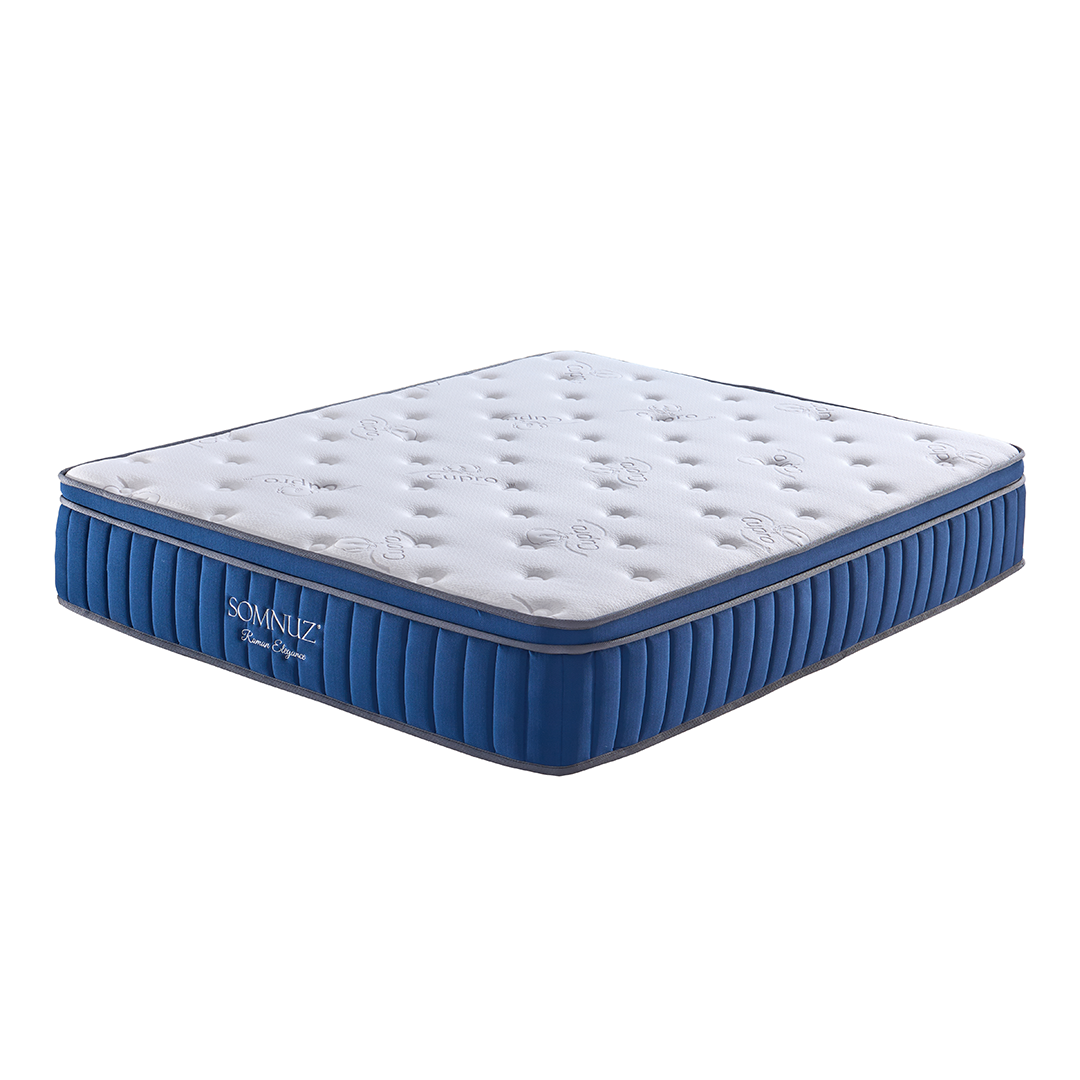 Somnuz® Roman Elegance 12 Inch Individual Pocketed Spring Mattress